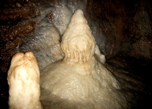 Obr1
