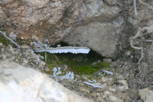 ice3
